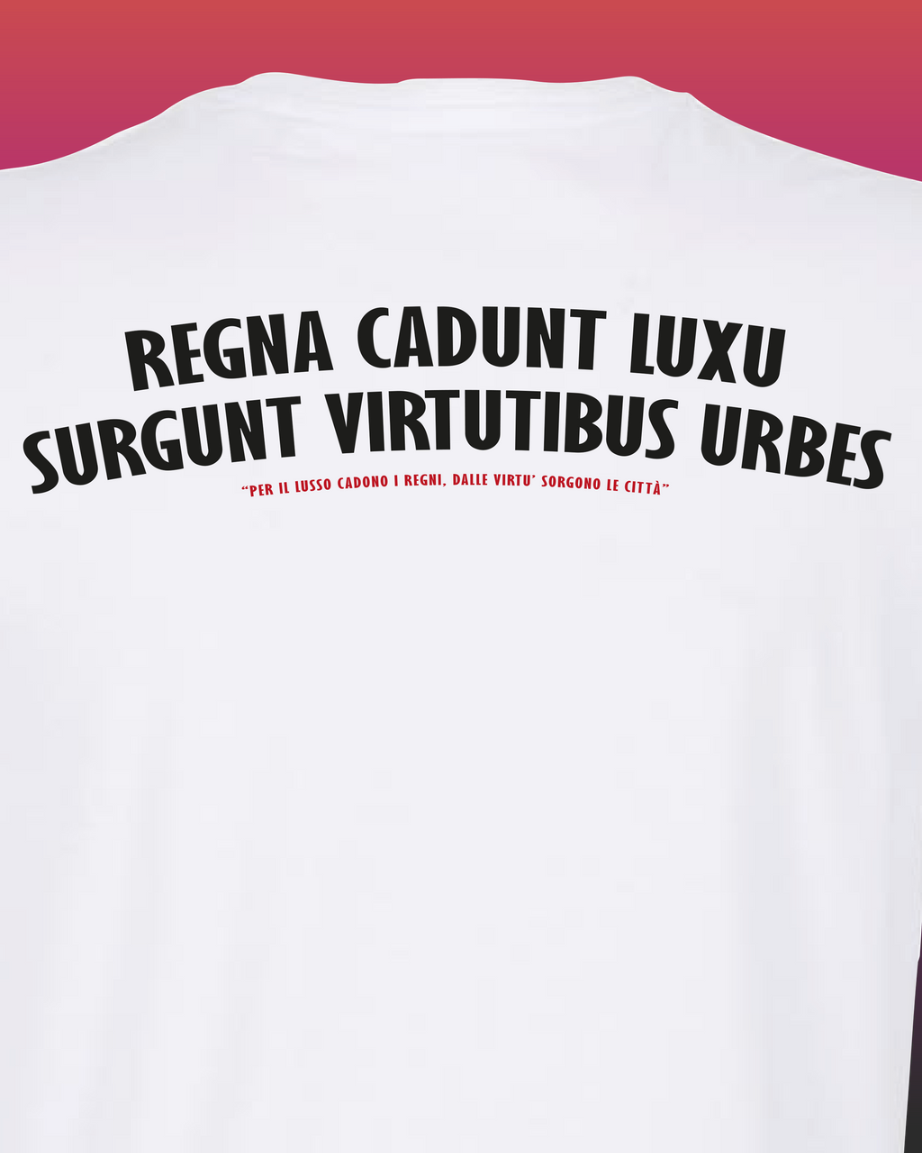 REGNA CADUNT LUXU, SURGUNT VIRTUTIBUS URBES (Fronte / Retro)
