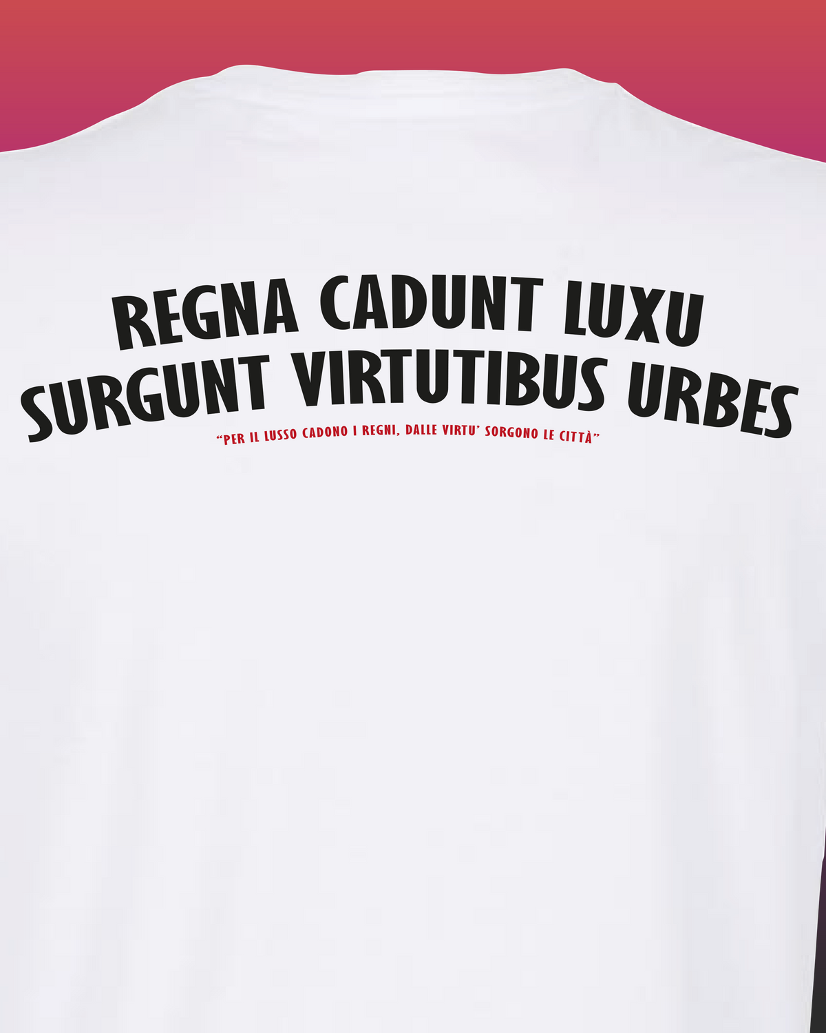 REGNA CADUNT LUXU, SURGUNT VIRTUTIBUS URBES (Fronte / Retro)