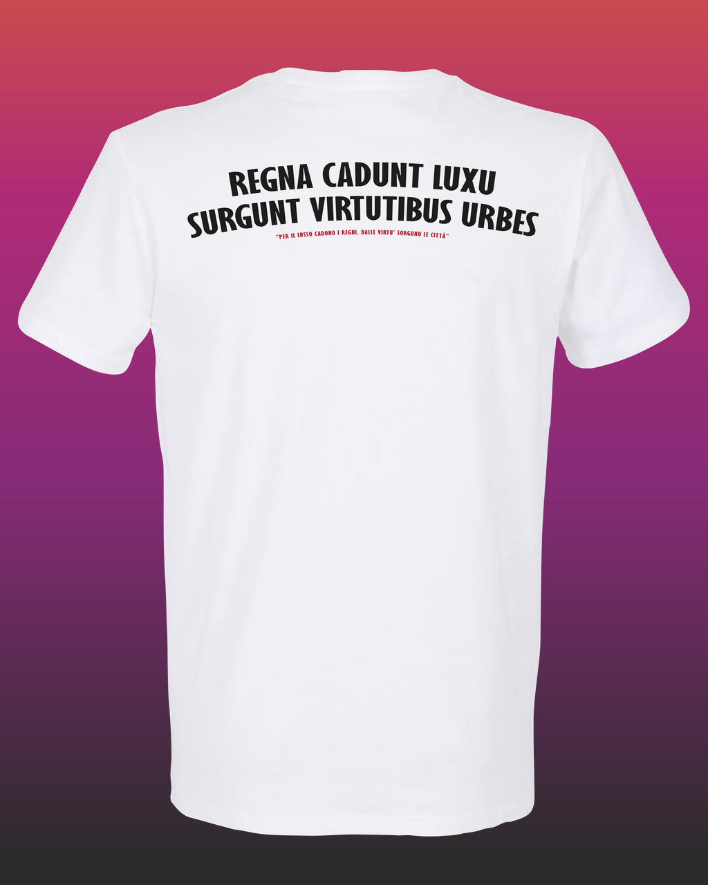 REGNA CADUNT LUXU, SURGUNT VIRTUTIBUS URBES (Fronte / Retro)