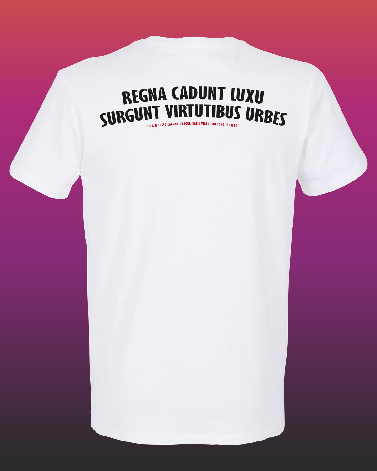 REGNA CADUNT LUXU, SURGUNT VIRTUTIBUS URBES (Fronte / Retro)